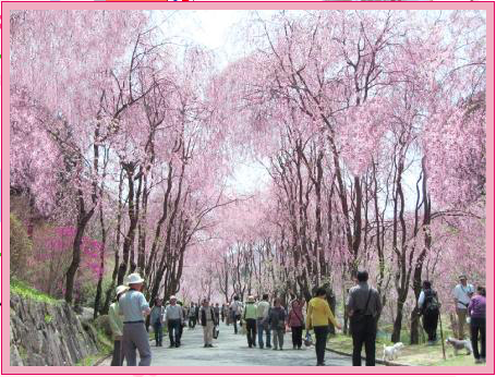 世羅甲山ふれあいの里園内写真
