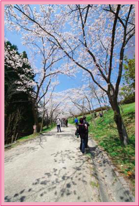 世羅甲山ふれあいの里園内写真